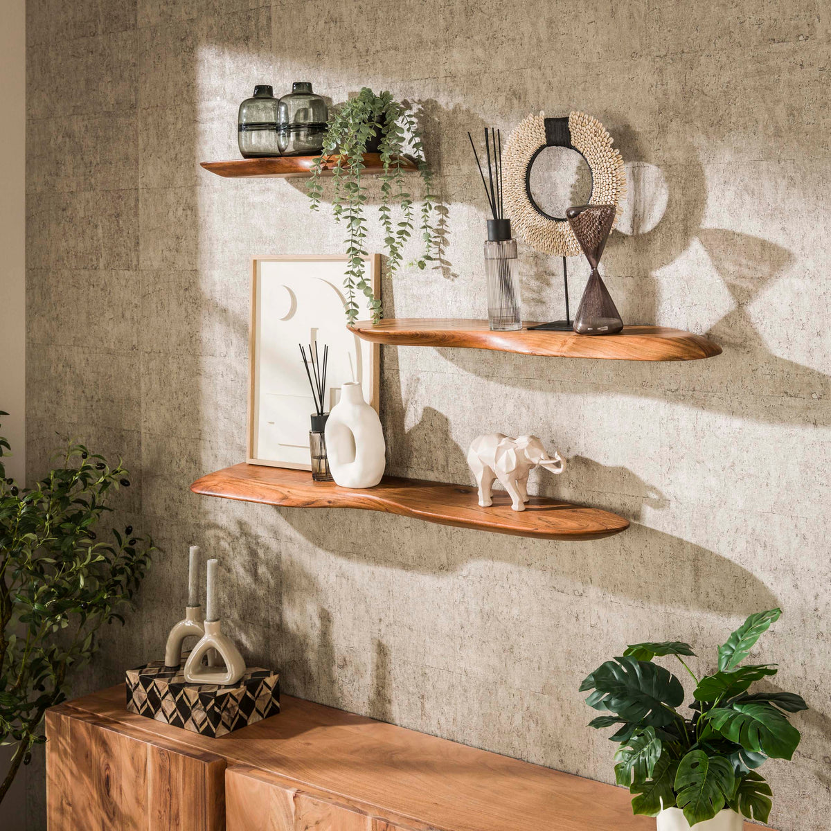 Bloom wall shelf 60cm / Solid acacia