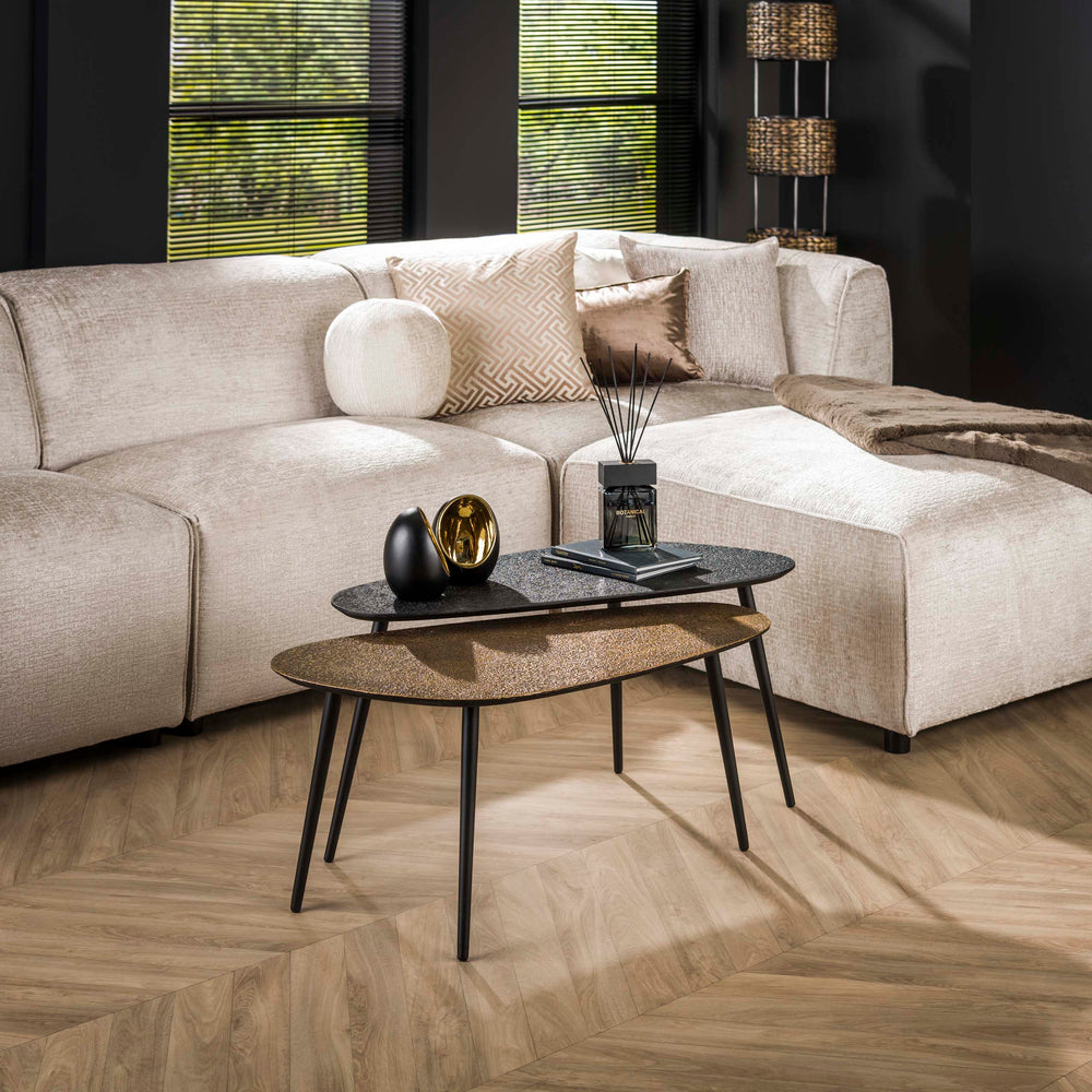Bronze kidney-shaped coffee table, set of 2 / gray