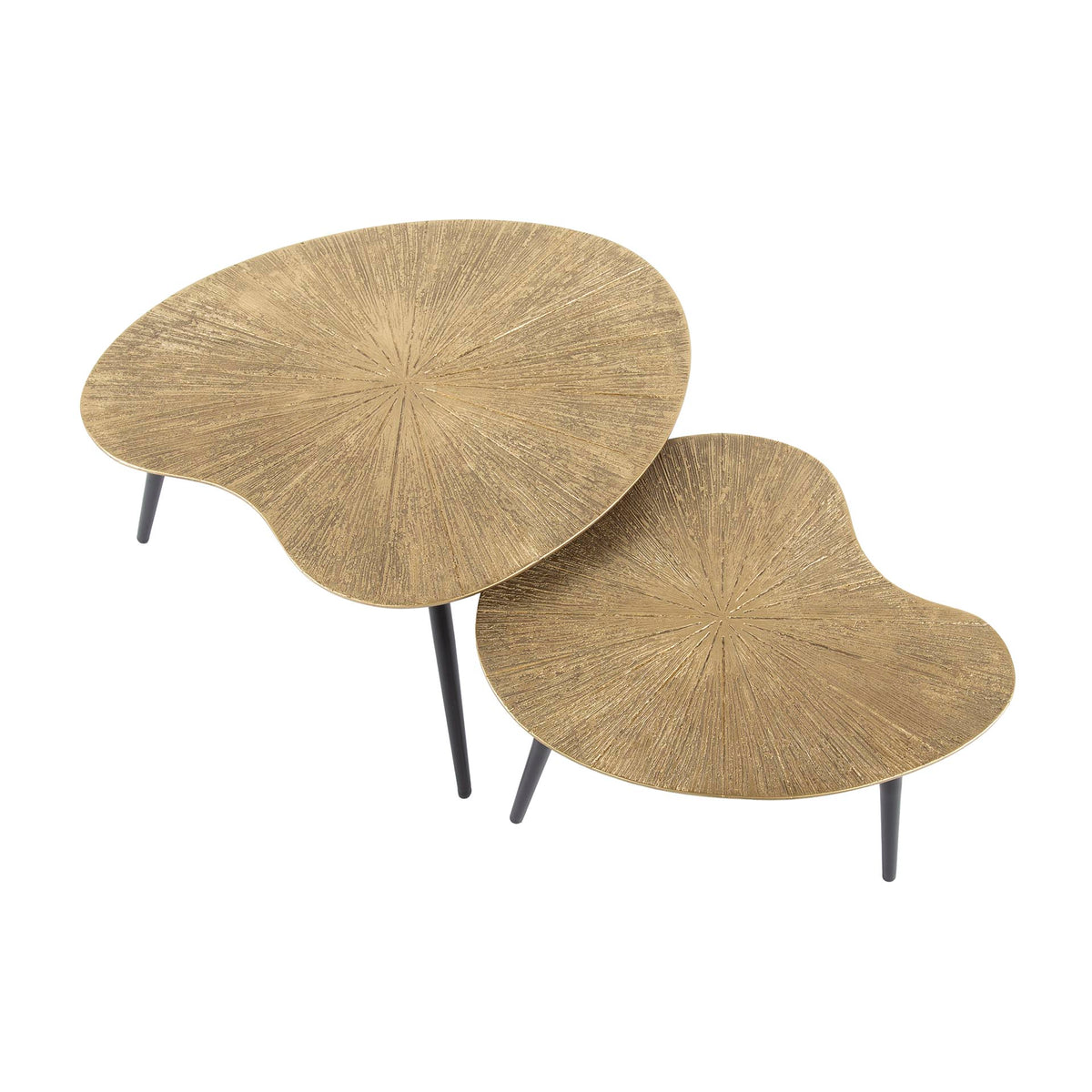 Noma kidney-shaped coffee table set of 2 / Ray antique gold