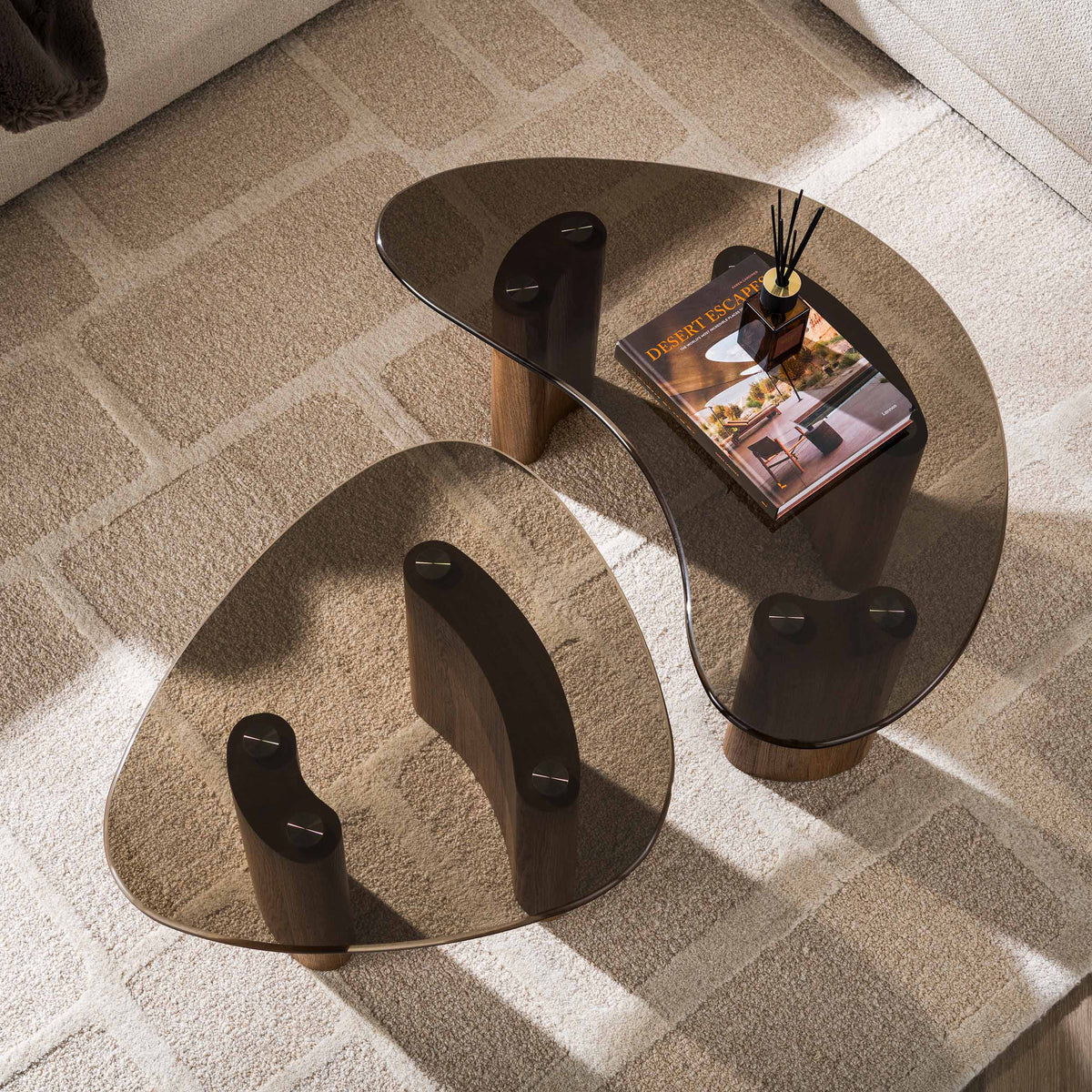 Fume coffee table set of 2 bronze glass
